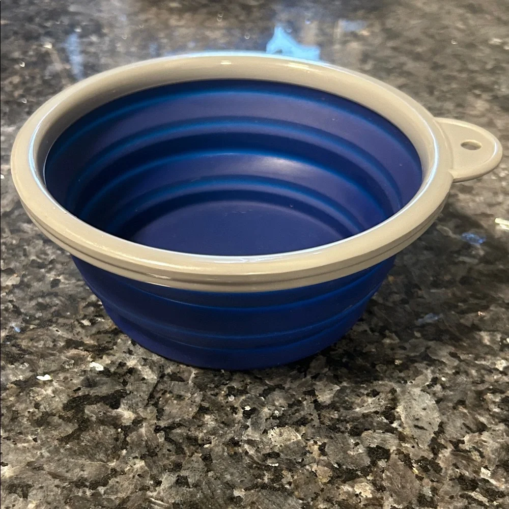 Portable Blue and Gray Collapsible Bowl